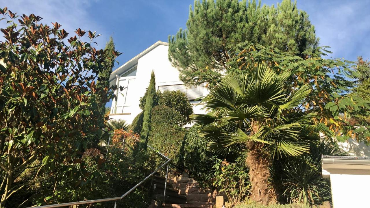 Ferienwohnung Palmenalm Bad Orb Esterno foto